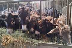 IMG-20241002-WA0004
